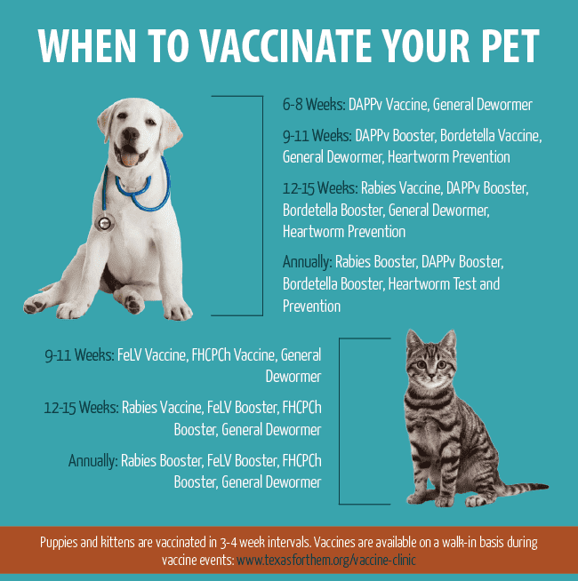 Vaccinations 1